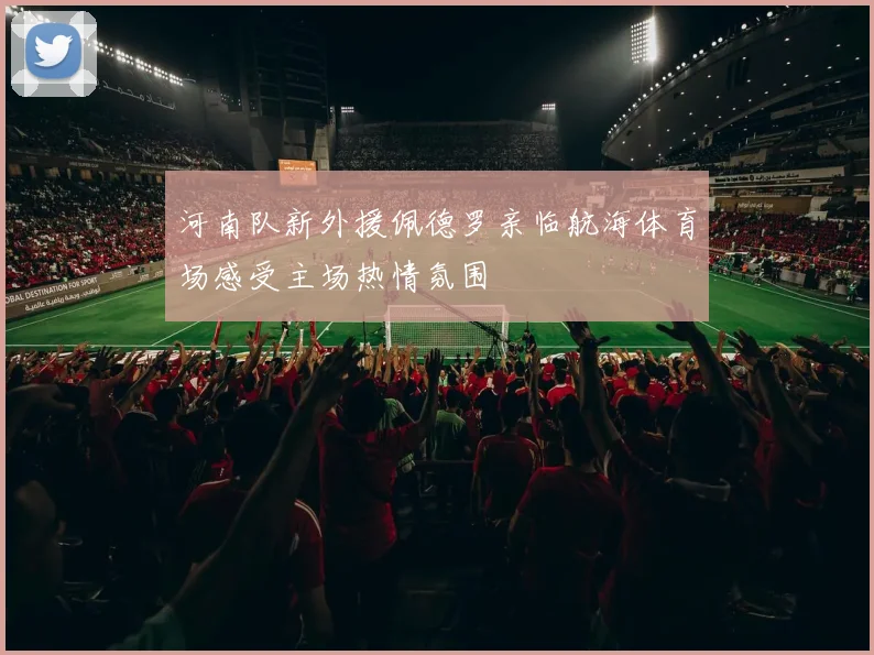 河南队新外援佩德罗亲临航海体育场感受主场热情氛围